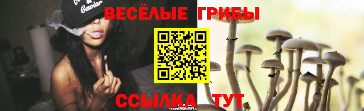 закладка  Псилоцибиновые грибы прущие грибы  Вход с VPN  Коряжма 